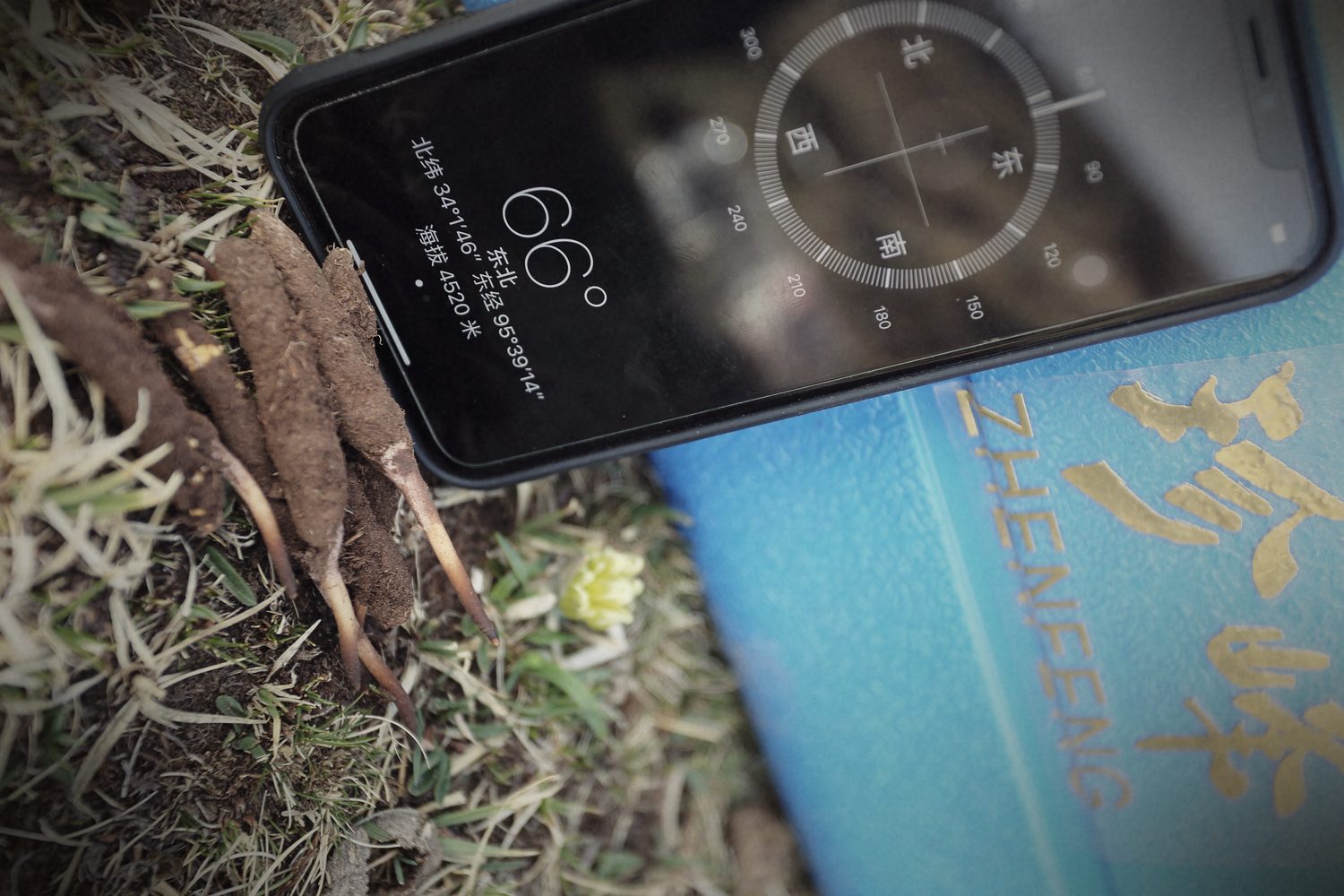 源头现收现场
